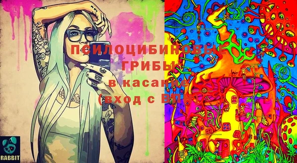 бошки Баксан