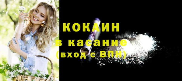 шишки Балахна