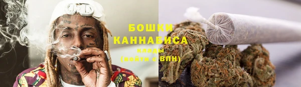 шишки Балахна