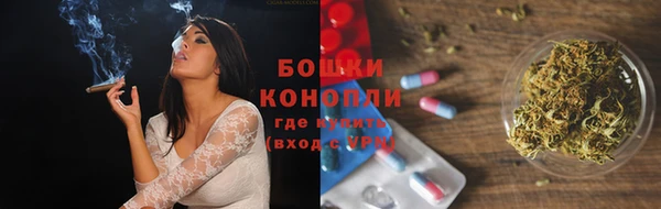 шишки Балахна