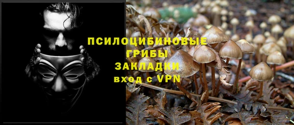 бошки Баксан