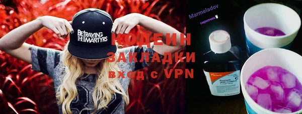 шишки Балахна
