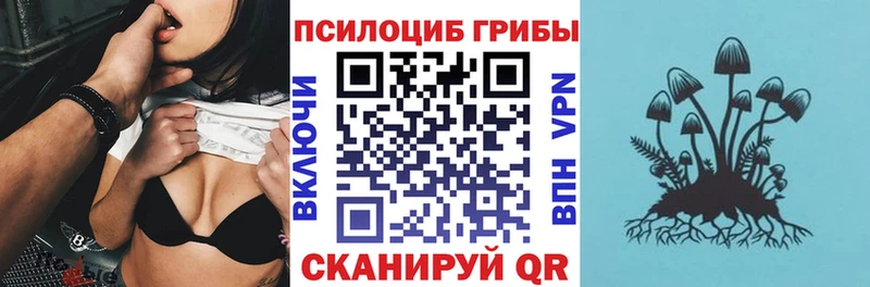 гидра сайт  купить   Видное  дарк нет телеграм  Псилоцибиновые грибы MAGIC MUSHROOMS 