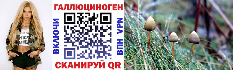 Галлюциногенные грибы Cubensis Видное